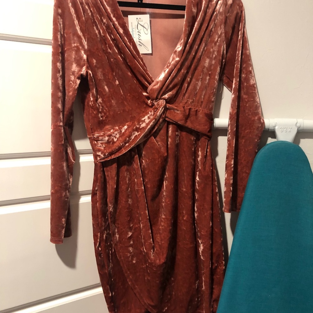 Velvet Pink Dress